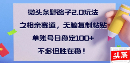 全网首发微头条野路子2.0玩法之相亲赛道，无脑搬砖复制粘贴，单账号日稳定300+保姆级教程-创途网