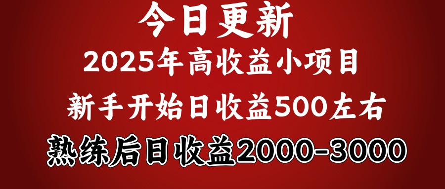好项目一眼就能看出来，日收益1000，长久可做，2025拼的就是我比你勤奋-创途网