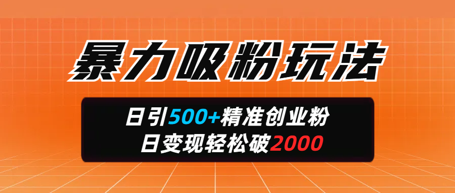 暴力吸粉玩法，日引500+精准创业粉，日变现轻松破2000-创途网