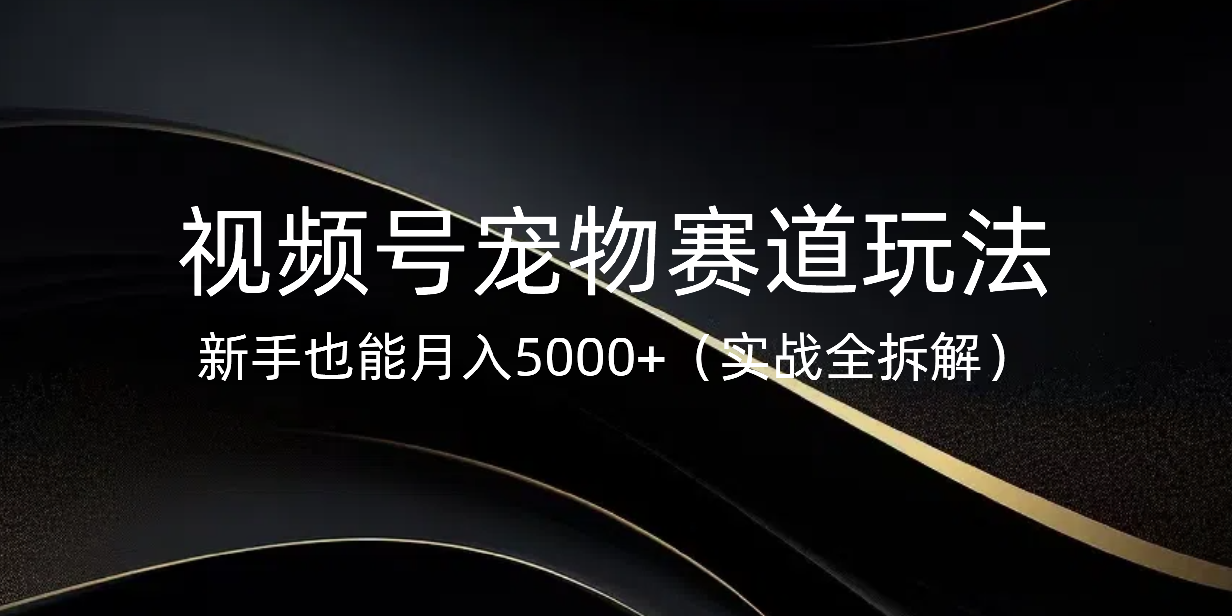 视频号宠物赛道玩法，新手也能月入5000+（实战全拆解）-创途网