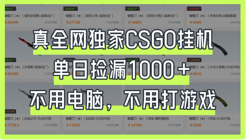 真全网独家CSGO挂机，单日捡漏1000+-创途网