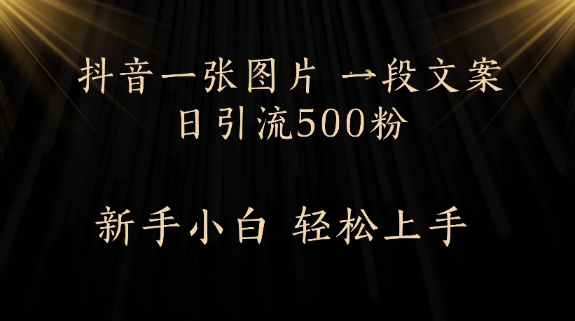 抖音一张图片，一段文案日引流500粉，新手小白 轻松上手-创途网