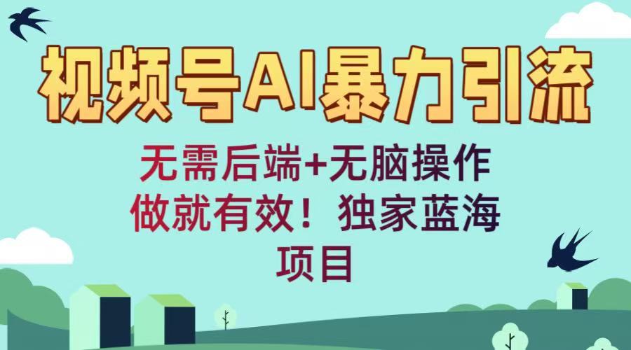 视频号AI暴力引流：无需后端+无脑操作，做就有效！独家蓝海项目-创途网