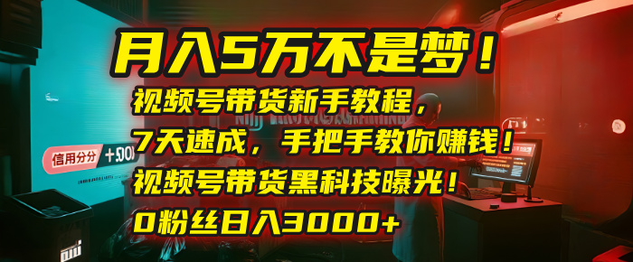 月入5万不是梦！视频号带货新手教程，7天速成，手把手教你赚钱！视频号带货黑科技曝光！0粉丝日入3000+-创途网