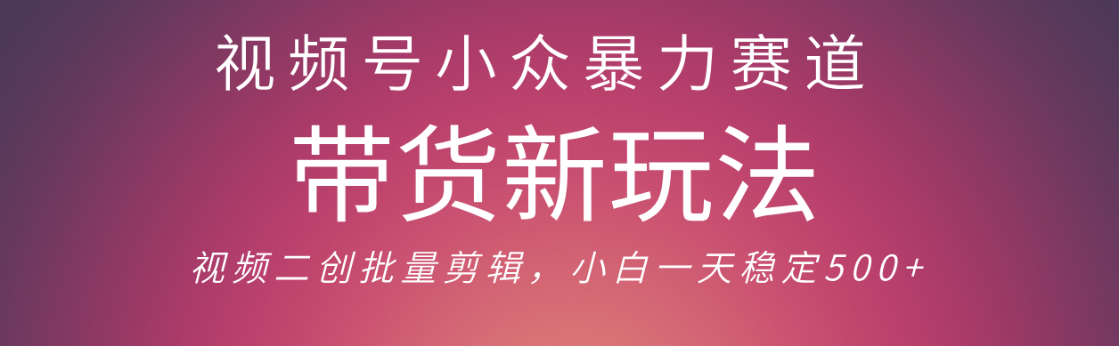 视频号小众暴力赛道，最新带货玩法 小白也能轻松日入500+ 保姆及教程-创途网
