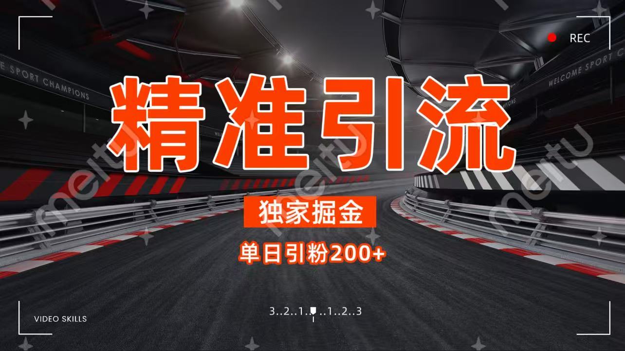 独家野路子精准引流 每日200+-创途网