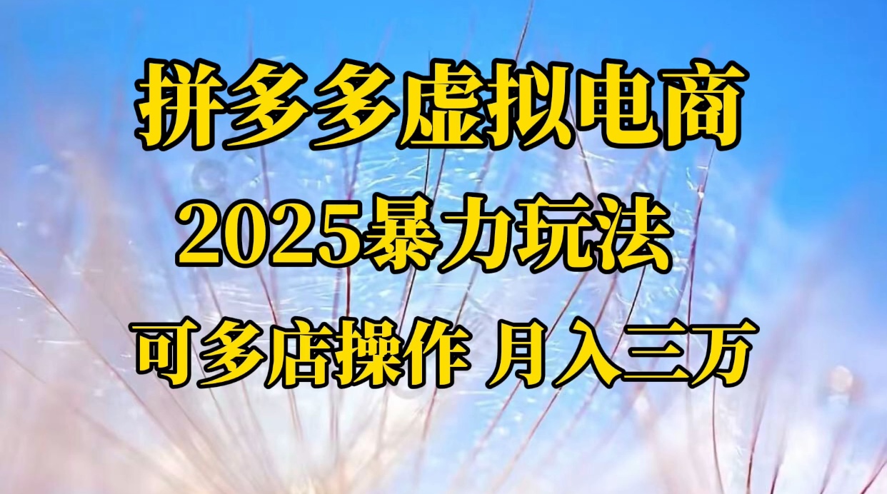 拼多多虚拟电商，不囤货不垫资的虚拟电商-创途网