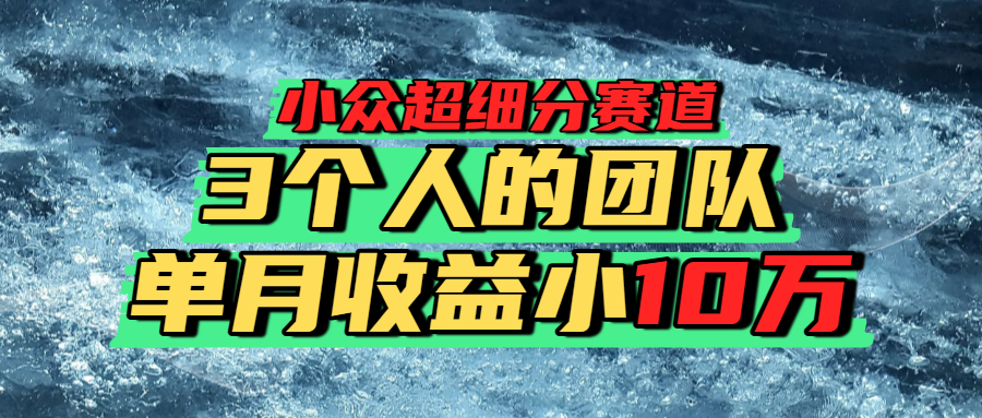 小众超细分赛道，一年百万利润的盘子！-创途网