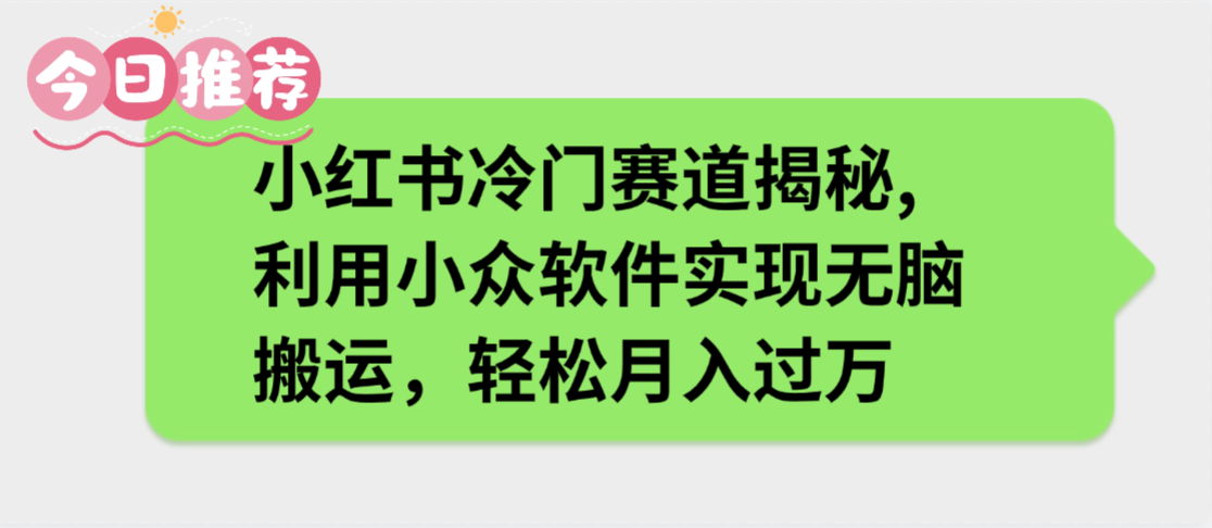 小红书冷门赛道揭秘,利用小众软件实现无脑搬运，轻松月入过万-创途网